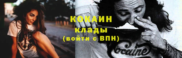 гидропоника Гусь-Хрустальный
