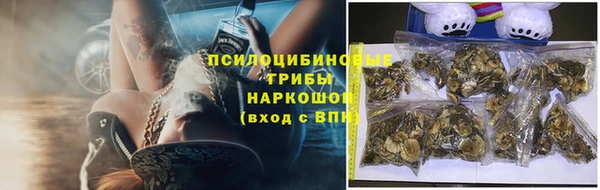 гидропоника Гусь-Хрустальный