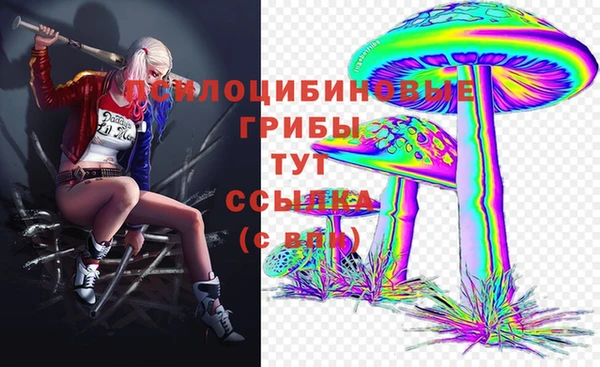 круглые Гусиноозёрск