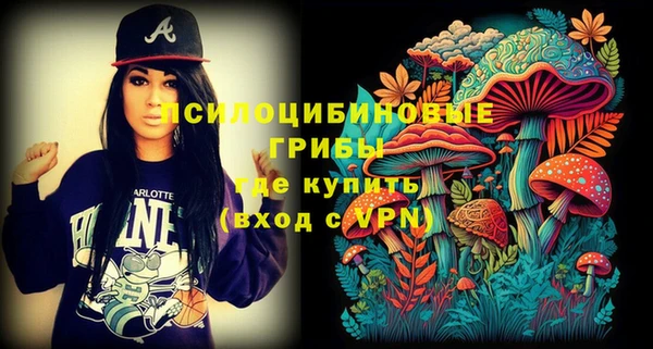 марки nbome Гусев