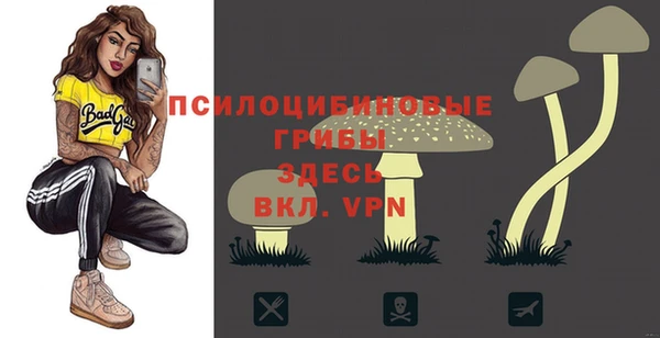 марки nbome Гусев