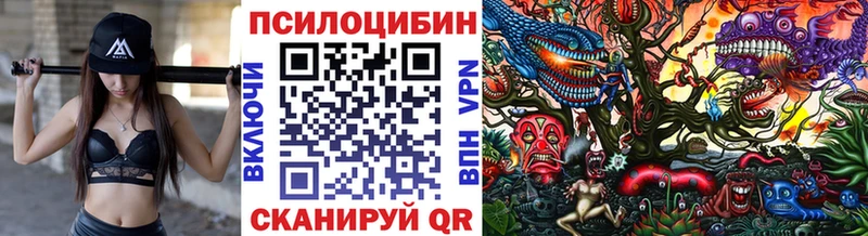 Галлюциногенные грибы Cubensis  что такое   Челябинск 
